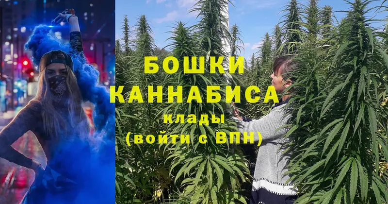 Бошки марихуана OG Kush  Лосино-Петровский 